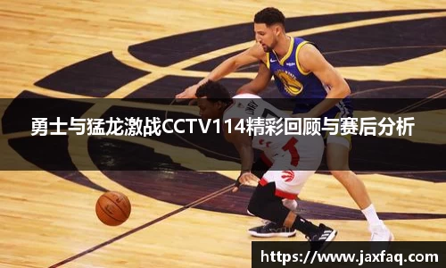 勇士与猛龙激战CCTV114精彩回顾与赛后分析